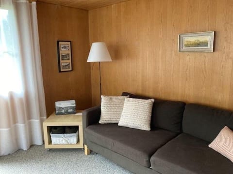 Furniture, Property, Building, Comfort, Couch, Wood, Interior Design, Lamp, Floor, Flooring