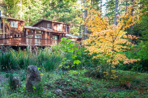 FALL Huckleberry Woods Country Home hundreds of Majestic Redwoods
