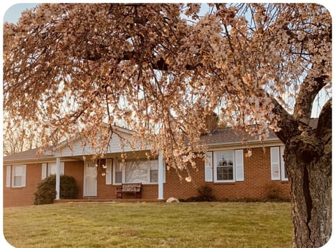 Beautiful Ranch home with spacious front yard