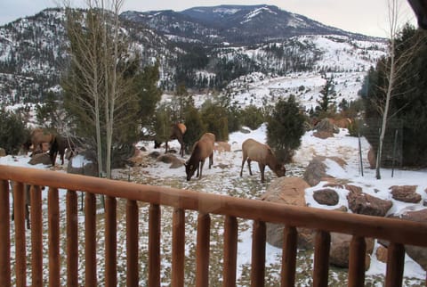 Enjoy our visitors in the cooler weather.