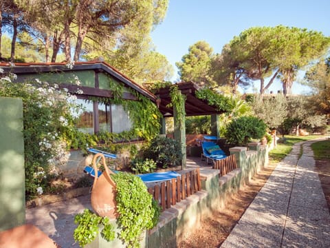 Plant, Sky, Property, Plant Community, Building, Nature, Azure, Tree, Flowerpot, Botany