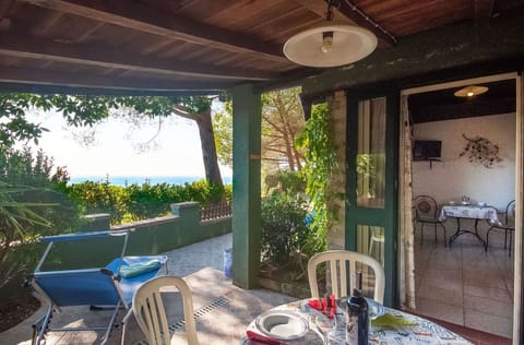 Plant, Property, Furniture, Table, Chair, Lighting, Interior Design, Shade, Architecture, Houseplant