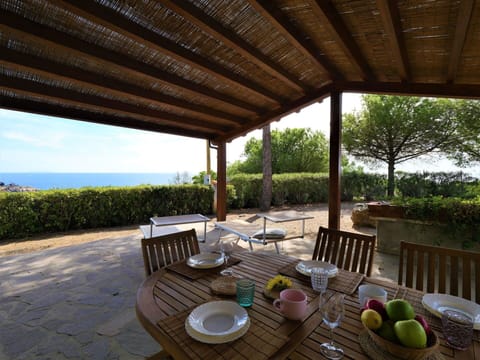 Plant, Property, Table, Furniture, Tableware, Shade, Chair, Outdoor Furniture, Tree, Interior Design