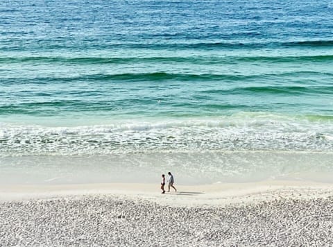 View from our condo: The BEACH
Your View from our condo: BEACH