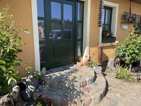 Plant, Window, Building, Flowerpot, Door, Road Surface, Grass, Brickwork, House