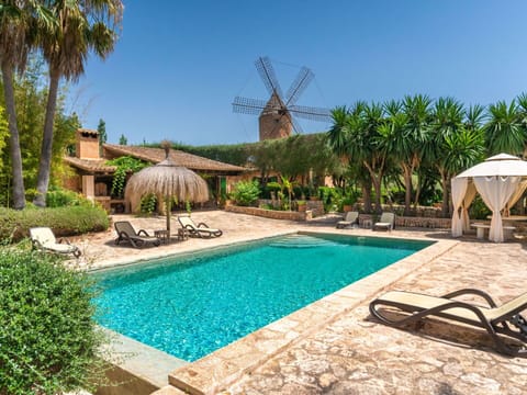 Water, Plant, Sky, Property, Azure, Tree, Swimming Pool, Arecales, Shade