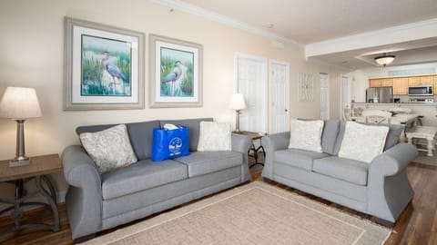 Living room with sleeper sofa