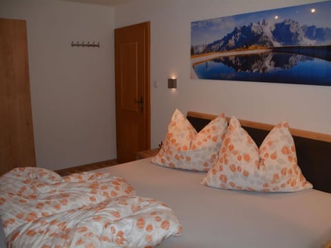 Apartment / 1 bedroom / shower, toilet - Haus Höring Apartment in Salzburgerland