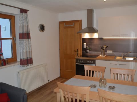 Apartment / 1 bedroom / shower, toilet - Haus Höring Apartment in Salzburgerland