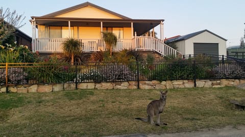 Regular visitor 