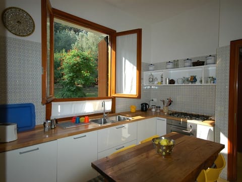window of the kitchen on the back garden