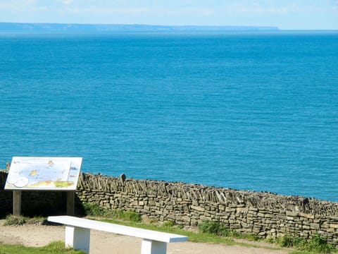 Table, Property, Cabinetry, Building, Dishware, Wood, Countertop, Interior Design, Tableware, Kitchen Appliance