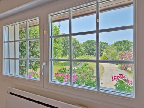 Plant, Flower, Building, Window, Property, Shade, House, Interior Design, Wood