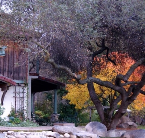 Enter the DaVidgil House property....built by a craftsman artist.
