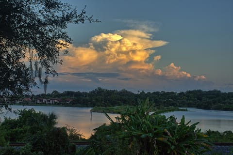 View of nearby Lake from the Safety Harbor Bird House