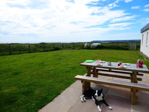 The picnic area has wonderful sea views.
