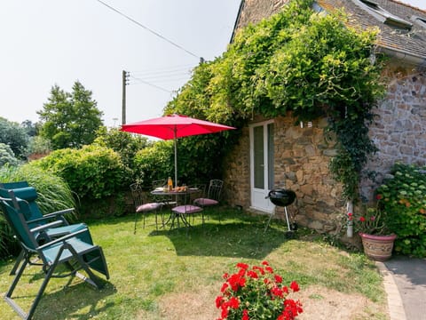 Plant, Flower, Property, Chair, Building, Grass, Flowerpot, Biome, Window, Shade