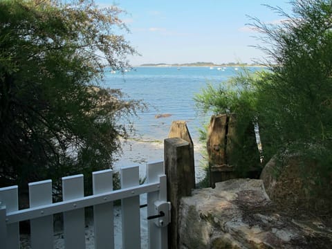 Sky, Water, Wood, Plant, Fence, Natural Landscape, Tree, Lake, Landscape, Grass
