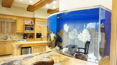 Fish Tank