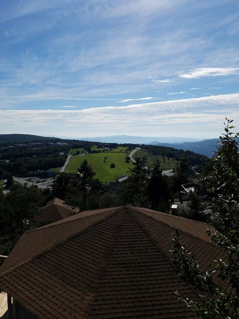 Beach/ocean view
