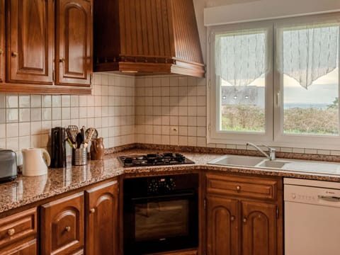 Brown, Cabinetry, Countertop, Property, Building, Window, Kitchen, Wood, Kitchen Stove, Drawer