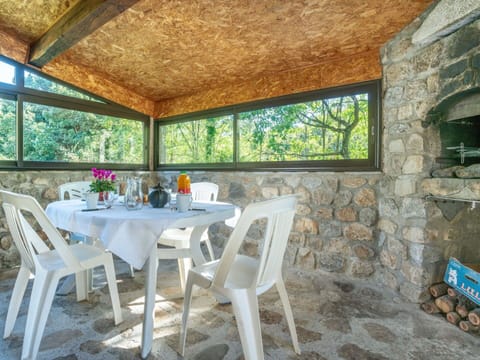 Table, Furniture, Property, Chair, Interior Design, Plant, Shade, Window, Wood, Flower