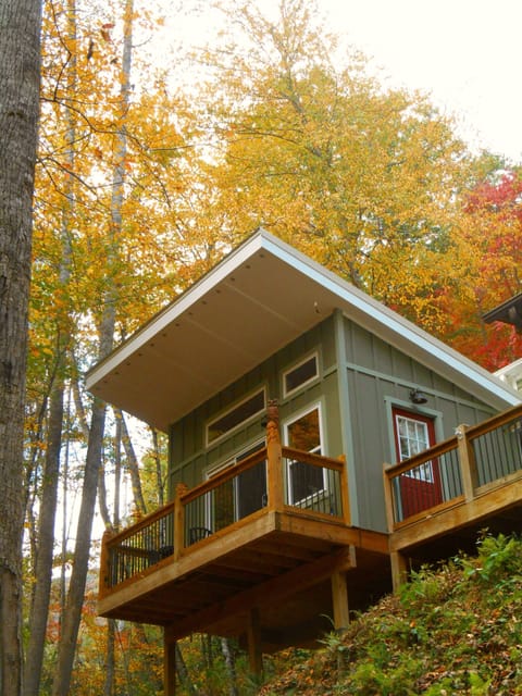 The Owl's Perch. 200 square foot elevated glamping cabin nestled in the trees!