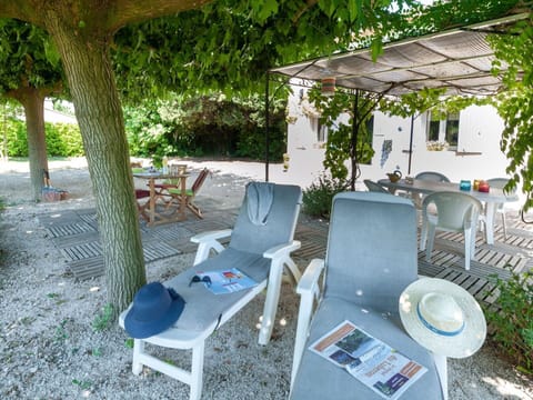 Plant, Furniture, Property, Table, Chair, Outdoor Furniture, Tree, Shade, Outdoor Table, Building