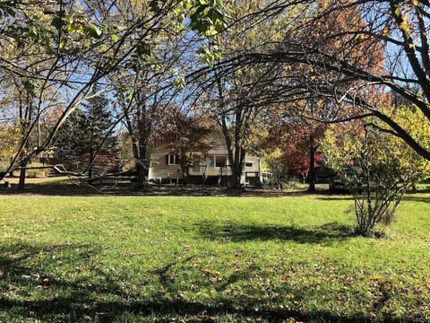 Sunflower - Distance Main 2_6_11zon