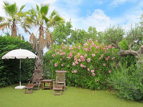 Vegetation, Garden, Property, Botany, Backyard, Tree, Plant, Flower, Botanical Garden, Yard