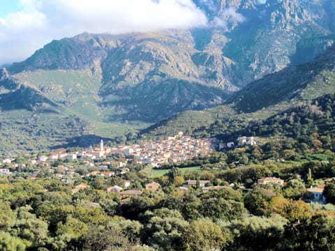 Building, Property, Wood, Interior Design, Table, Computer Desk, House, Window