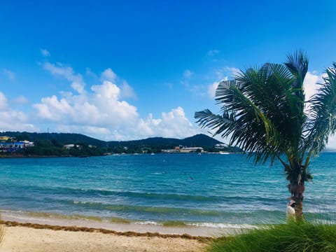 Water bay, pictured to the left is swimming with the dolphins.