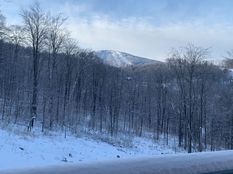 View of Stratton from living room.