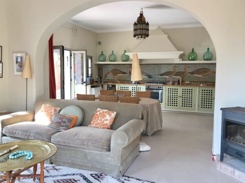 The Apartment living room looking to the kitchen and geese mosaic