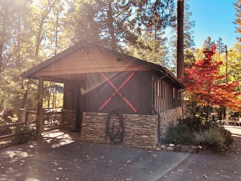 The Cranes' cabin, a 4 season cabin in the woods