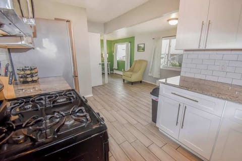 Modern Open-Concept Kitchen and Living Space