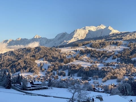 View from the living-room