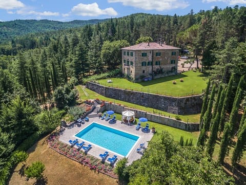 Aerial view of the house and pool