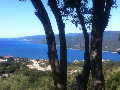 Sea view