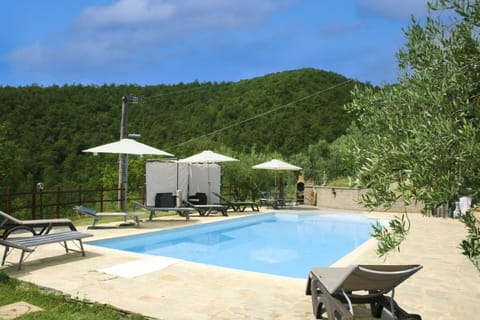 Umbrella, Furniture, Outdoor Furniture, Shade, Chair, Outdoor Table, Flowerpot, Swimming Pool, Design, Houseplant