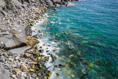 Unda de Ma Apartment with AC and Sea View Balcony Apartment in Vernazza