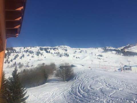 Snow and ski sports