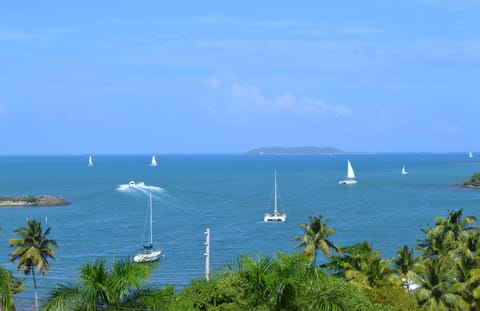 View From Balcony