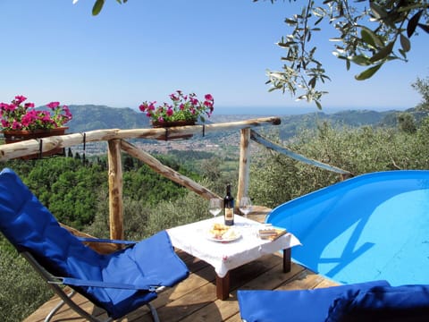 Sky, Flower, Property, Plant, Furniture, Table, Blue, Nature, Azure, Botany