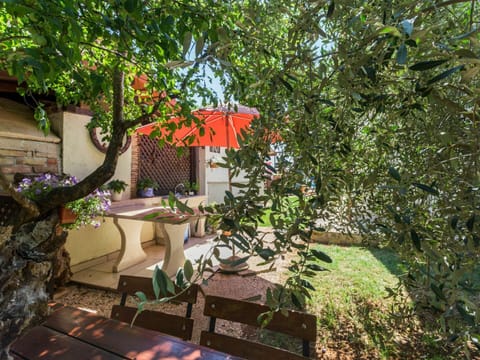 Property, Yard, House, Backyard, Tree, Garden, Home, Botany, Building, Real Estate