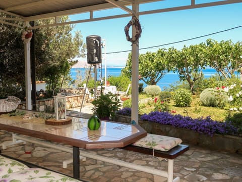 Plant, Flower, Property, Flowerpot, Sky, Table, Houseplant, Shade, Interior Design, Outdoor Furniture