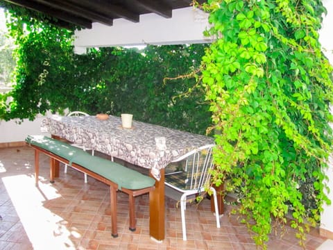 Green, Property, Tree, Real Estate, Room, Botany, Plant, Leaf, Table, House
