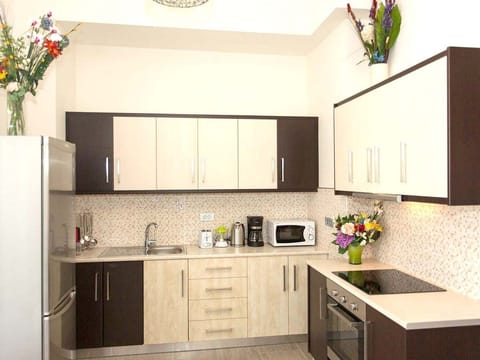 Green Orange Villa ground floor apartment kitchen facilities