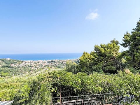 Sky, Blue, Daytime, Horizon, Vegetation, Sea, Plant Community, Ocean, Coast, Tropics