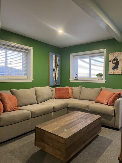 Basement Living Room